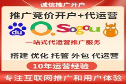 竞价推广策略：某电商平台的成功之路